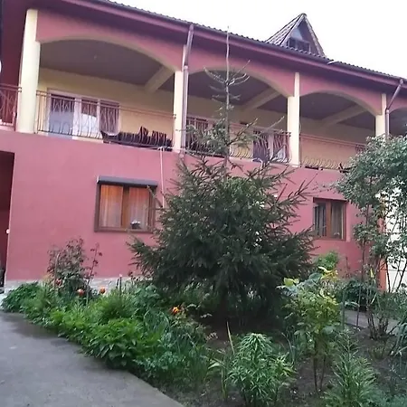 Pensiune La Rodica