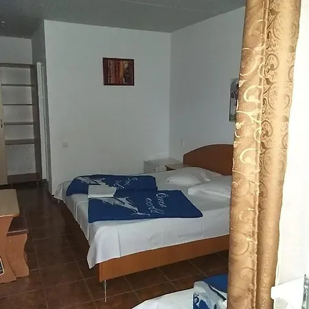 Pensiune La Rodica * Costinesti